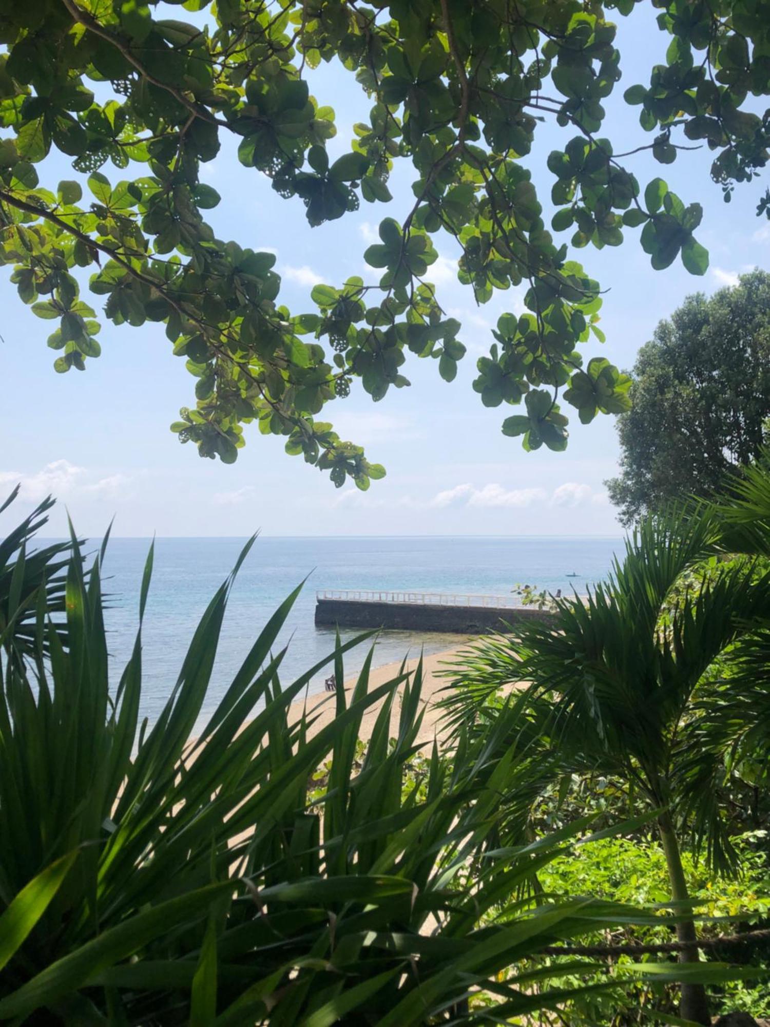 Wuthering Heights Bed & Breakfast By The Sea Dumaguete City Exterior foto